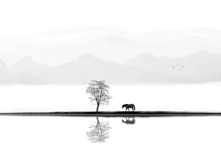 Ivan Huang Plakát, Obraz - Quiet Moment, Ivan Huang, 40 × 30 cm