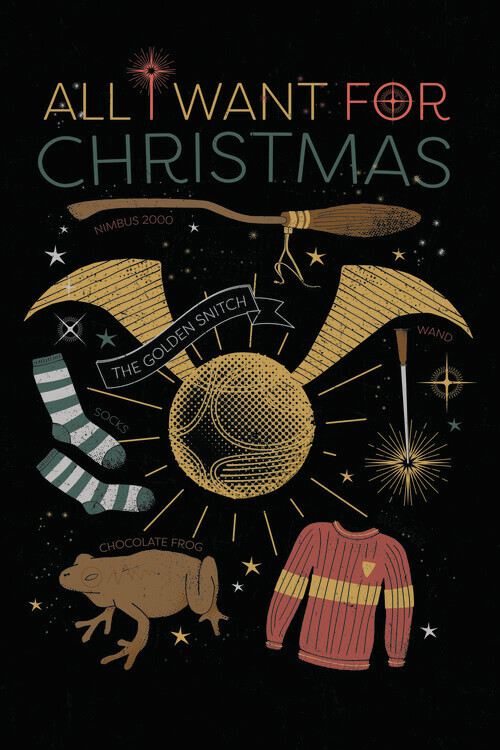 Europosters Plakát, Obraz - Harry Potter - All I Want For Christmas, 26.7 × 40 cm