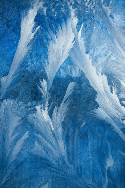 IRA_EVVA Plakát, Obraz - Frosty pattern on transparent background. Background, IRA_EVVA, 26.7 × 40 cm