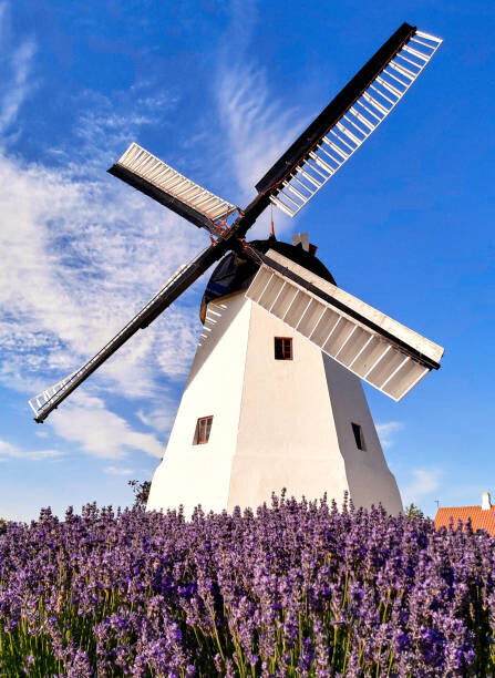 PATSTOCK Plakát, Obraz - Windmill in Aarsdale, Bornholm island, Denmark, PATSTOCK, 30 × 40 cm