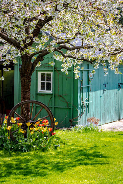 photography by Ulrich Hollmann Plakát, Obraz - Cozy cottage in a country garden, Germany, photography by Ulrich Hollmann, 26.7 × 40 cm
