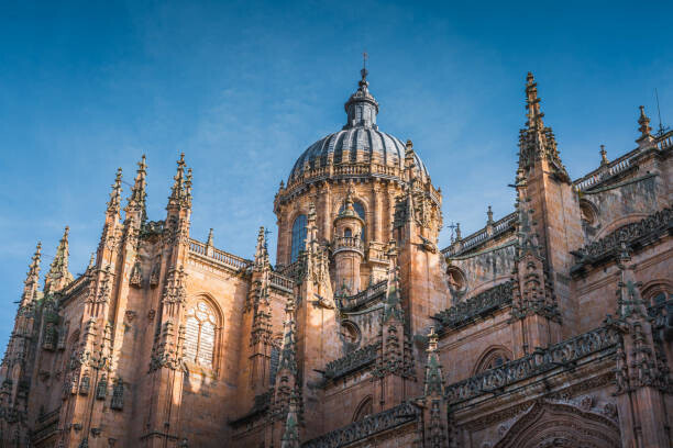 SEN LI Plakát, Obraz - Close up view of Salamanca Cathedral, SEN LI, 40 × 26.7 cm