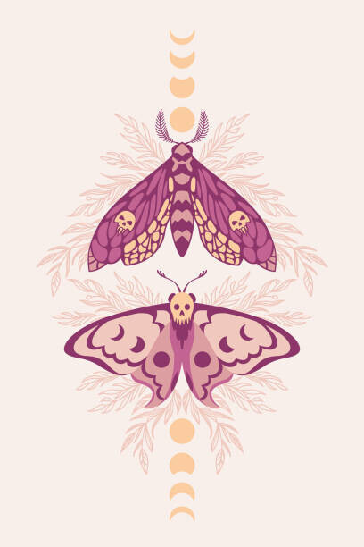 Iryna Shorokhova Plakát, Obraz - Vector pattern with night moths and, Iryna Shorokhova, 26.7 × 40 cm