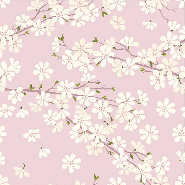 Rusanovska Plakát, Obraz - Cherry Blossom Pattern, Rusanovska, 40 × 40 cm
