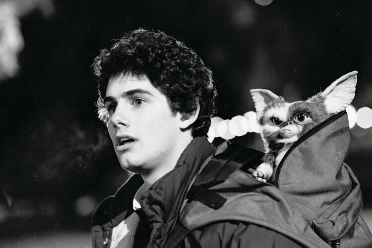 Europosters Plakát, Obraz - Gremlins - Zach Galligan, 40 × 26.7 cm