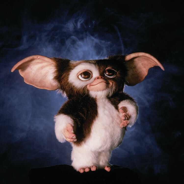 Europosters Plakát, Obraz - Gremlins, 40 × 40 cm
