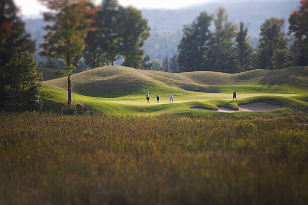 Michael Duva Plakát, Obraz - golfers golfing on a golf course, Michael Duva, 40 × 26.7 cm