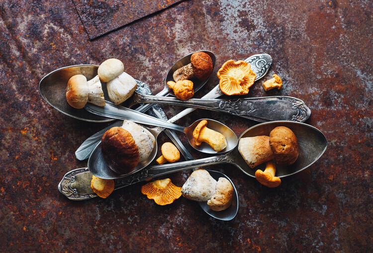 Aleksandrova Karina Plakát, Obraz - SpoonsaWild mushrooms, Aleksandrova Karina, 40 × 26.7 cm