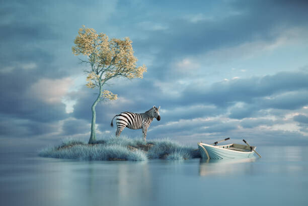 Orla Plakát, Obraz - Surreal image of a zebra on, Orla, 40 × 26.7 cm