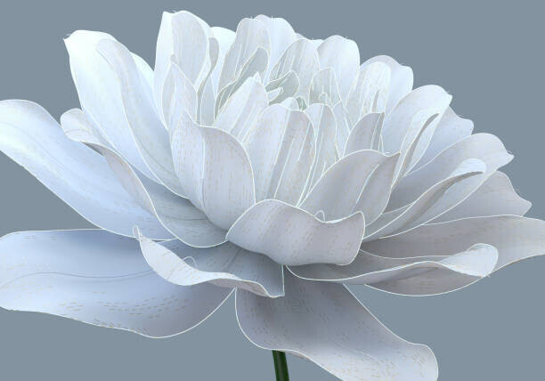 Andriy Onufriyenko Plakát, Obraz - Beauty tech flower, Andriy Onufriyenko, 40 × 26.7 cm