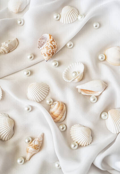 Natalia Ganelin Plakát, Obraz - Seashells and pearls on white silk, Natalia Ganelin, 26.7 × 40 cm