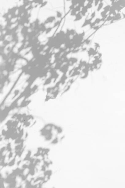 Andre2013 Plakát, Obraz - trees branch and leaf with shadow, Andre2013, 26.7 × 40 cm