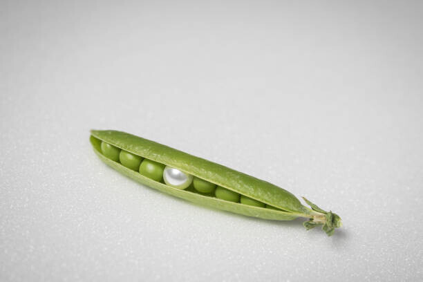 Etienne Jeanneret Plakát, Obraz - Bead in half-open peas pod, Montargis, France., Etienne Jeanneret, 40 × 26.7 cm