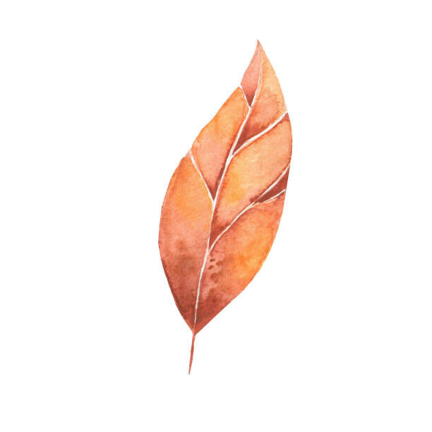 Tatyana Boyko Plakát, Obraz - autumn leaves a watercolor on a, Tatyana Boyko, 40 × 40 cm