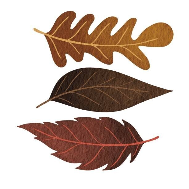 ToBeeLife Plakát, Obraz - Three brown fall leaves watercolor illustration, ToBeeLife, 40 × 40 cm