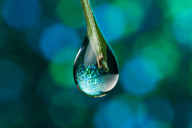 Shawn Knol Plakát, Obraz - Droplet, Shawn Knol, 40 × 26.7 cm