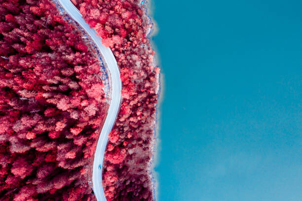 © Marco Bottigelli Plakát, Obraz - Fantasy coastal road with infrared colors, © Marco Bottigelli, 40 × 26.7 cm
