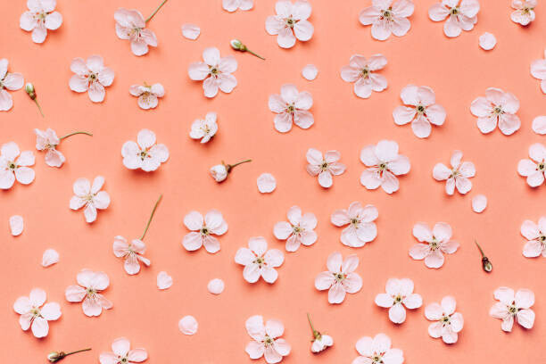 Anna Efetova Plakát, Obraz - Beautiful floral wallpaper., Anna Efetova, 40 × 26.7 cm