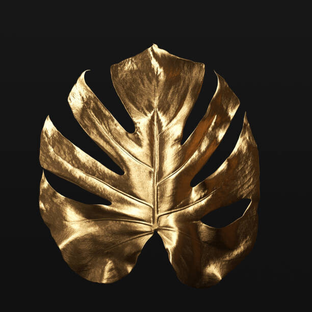 VPanteon Plakát, Obraz - Monstera plant tropical leaf gold texture, VPanteon, 40 × 40 cm