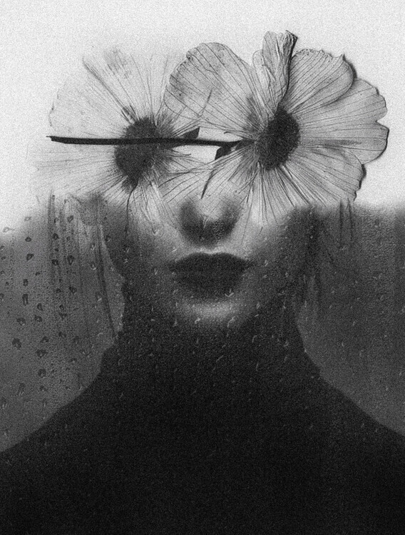 Ingrida Urbonavičienė Plakát, Obraz - Bloom in thought, Ingrida Urbonavičienė, 30 × 40 cm
