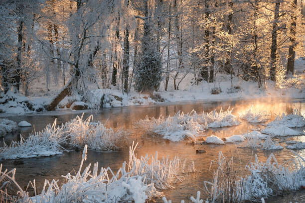Schon Plakát, Obraz - Morning by a frozen river in winter, Schon, 40 × 26.7 cm