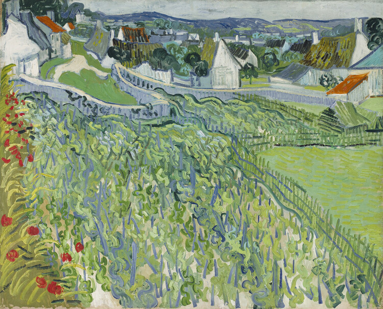 Vincent van Gogh Plakát, Obraz - Vineyards at Auvers (1890), Vincent van Gogh, 40 × 30 cm