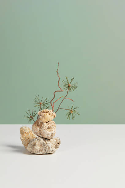 Aleksandra Konoplia Plakát, Obraz - Abstract minimal nature still life composition, Aleksandra Konoplia, 26.7 × 40 cm