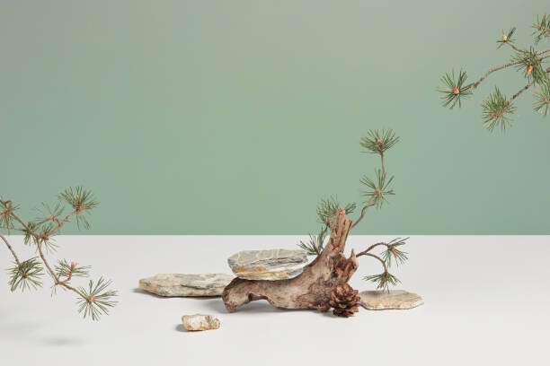 Aleksandra Konoplia Plakát, Obraz - Organic showcase with gray and white, Aleksandra Konoplia, 40 × 26.7 cm