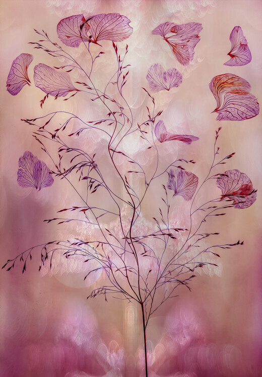Hilda van der Lee Plakát, Obraz - Fragility, Hilda van der Lee, 26.7 × 40 cm