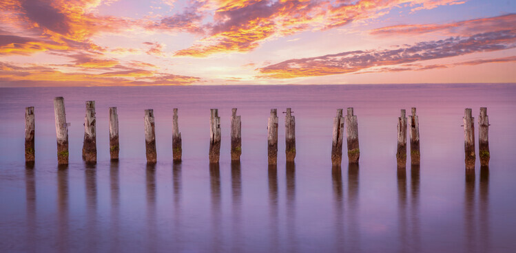 Ed Esposito Plakát, Obraz - Cape Pilings in Purple, Ed Esposito, 40 × 20 cm