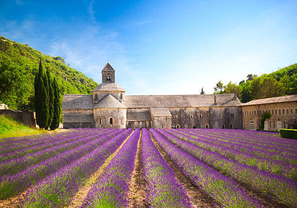 Tatiana Krakowiak Plakát, Obraz - Senanque Abbey (Provence, France), Tatiana Krakowiak, 40 × 26.7 cm
