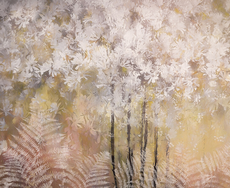 Nel Talen Plakát, Obraz - Spring feeling, Nel Talen, 40 × 30 cm