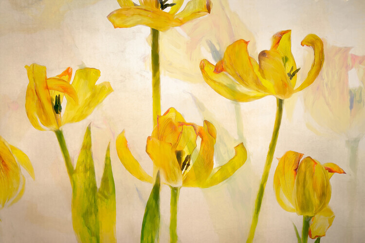 Nel Talen Plakát, Obraz - Flowering tulips, Nel Talen, 40 × 26.7 cm