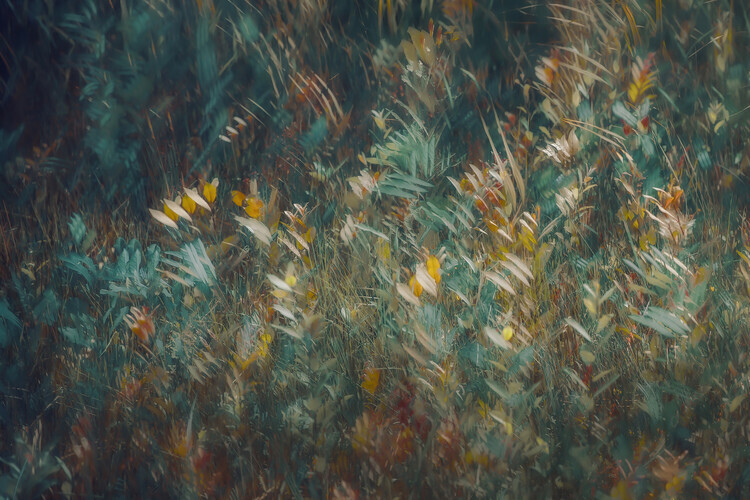 Nel Talen Plakát, Obraz - Late summer, Nel Talen, 40 × 26.7 cm