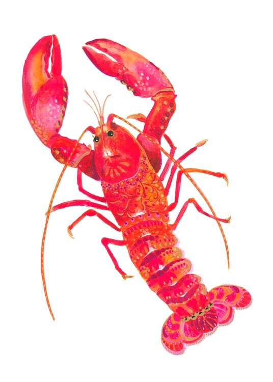 Isabelle Brent Plakát, Obraz - Patterned Lobster, Isabelle Brent, 30 × 40 cm