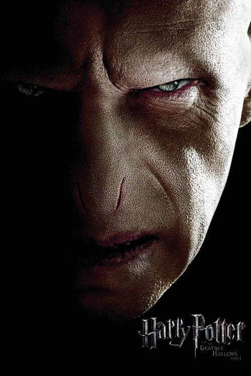 Europosters Plakát, Obraz - Harry Potter - Voldemort, 26.7 × 40 cm