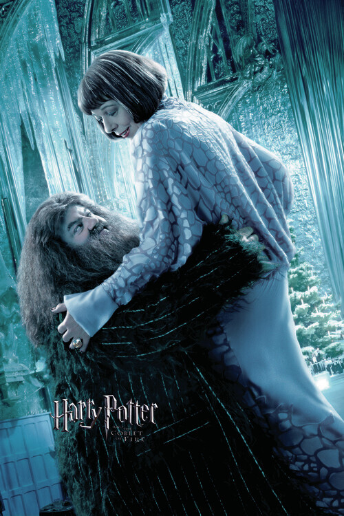 Europosters Plakát, Obraz - Harry Potter and the Goblet of Fire - Hagrid, 26.7 × 40 cm
