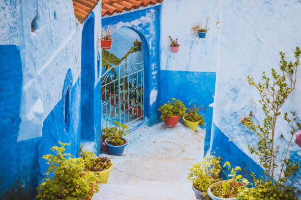 kotangens Plakát, Obraz - Chefchaouen Blue city of Morocco, kotangens, 40 × 26.7 cm