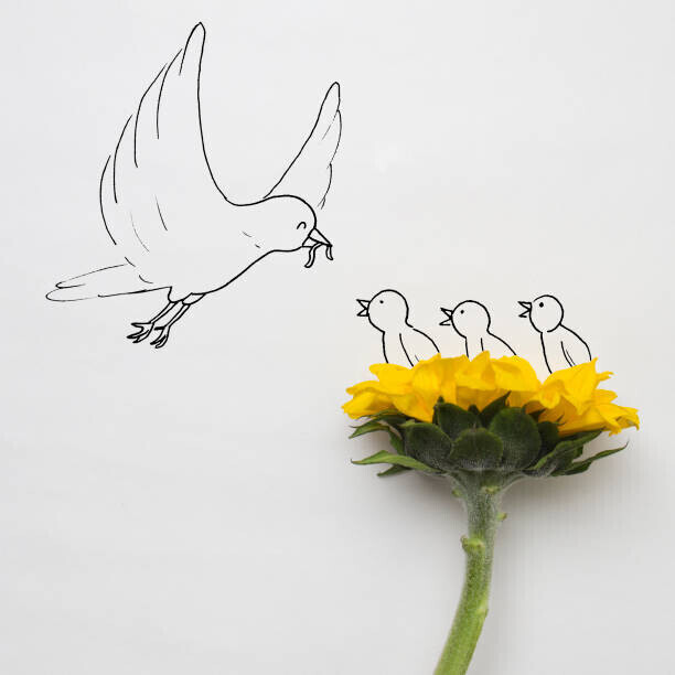 cintascotch Plakát, Obraz - Conceptual bird feeding chicks in a nest, cintascotch, 40 × 40 cm