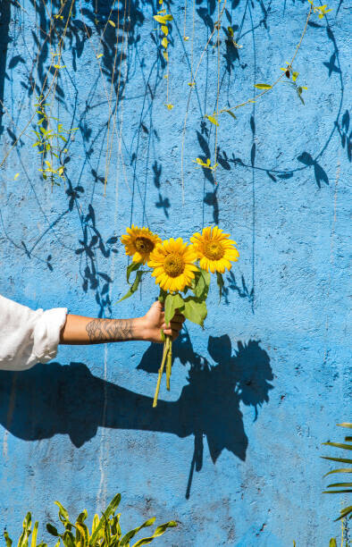 Westend61 Plakát, Obraz - Woman holding sunflower in front of, Westend61, 26.7 × 40 cm