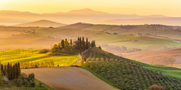 Andrea Comi Plakát, Obraz - Italy, Tuscany, San Quirico D'Orcia, Podere, Andrea Comi, 40 × 20 cm