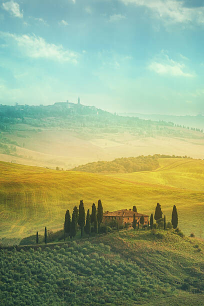 Peter Zelei Images Plakát, Obraz - Tuscan landscape, location: Val d'Orcia, Tuscany,, Peter Zelei Images, 26.7 × 40 cm
