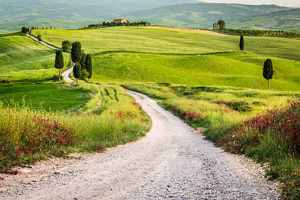Shaiith Plakát, Obraz - Dirt road and green field in Tuscany, Shaiith, 40 × 26.7 cm