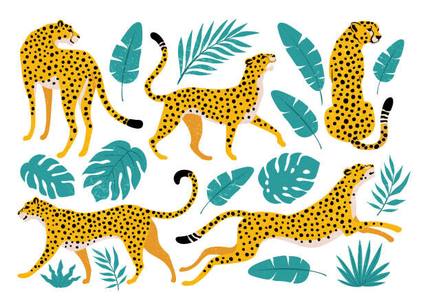 Angelina Bambina Plakát, Obraz - Vector set of leopards and tropical, Angelina Bambina, 40 × 30 cm
