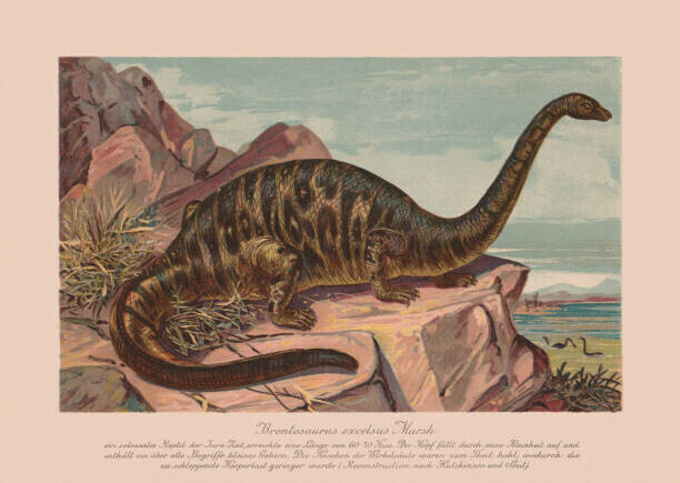 ZU_09 Plakát, Obraz - Brontosaurus excelsus, Late Jurassic epoch, chromolithograph,, ZU_09, 40 × 30 cm