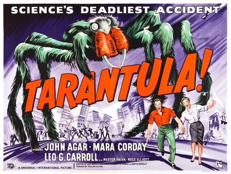 Europosters Plakát, Obraz - Tarantula 07, 40 × 30 cm