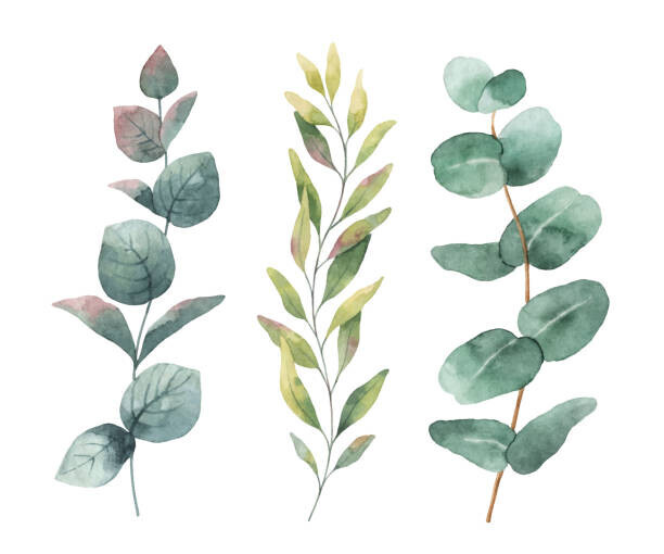 ElenaMedvedeva Plakát, Obraz - Watercolor hand painted vector set with, ElenaMedvedeva, 40 × 33.3 cm