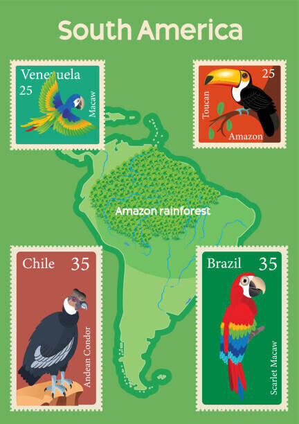 drmakkoy Plakát, Obraz - South America Map and Tropical Birds Stamps, drmakkoy, 30 × 40 cm