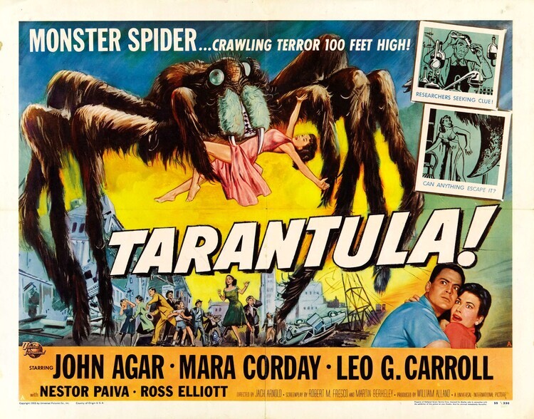 Europosters Plakát, Obraz - Tarantula 02, 40 × 30 cm