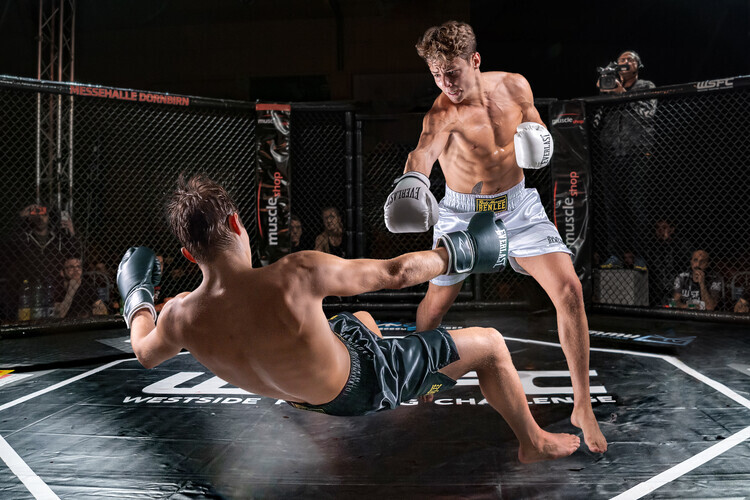 Marcel Egger Plakát, Obraz - Knock Out, Marcel Egger, 40 × 26.7 cm